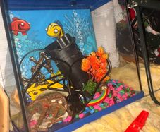 fishtank