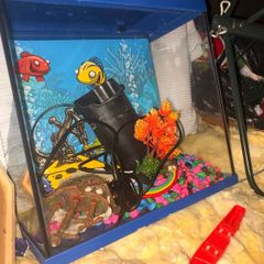 fishtank