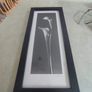FINE ART SIGNED PRINT OF FRAMED Black & White Photograph by Dick/Diane Stefanich Calla Lily Image 2