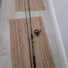 fishing rod and reel