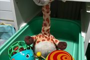baby toys