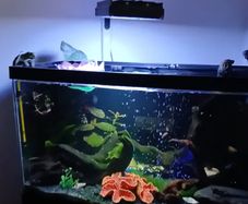 fish tank & equipment