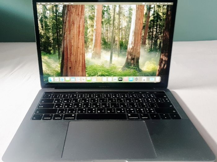 Apple MacBook Pro 13 inch 2019