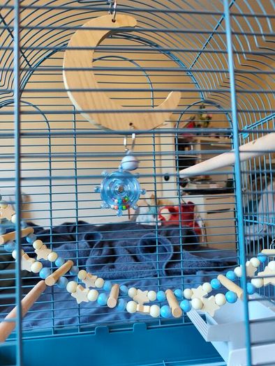 New Parrot/bird Cage Starter Kit + Tons of Accessories
