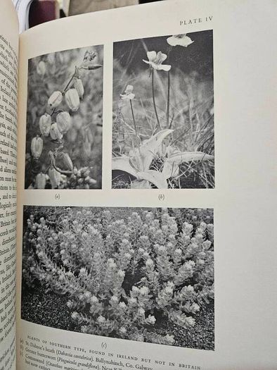 A View Of Ireland. 12 Essays On Different Aspects Of Irish Life And The Irish Countryside.  Edited By James Meenan & David A. Webb. First Edition Large Volume Hardback In Good Condition. See Photos For Same.