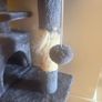Cat Tree Image 10