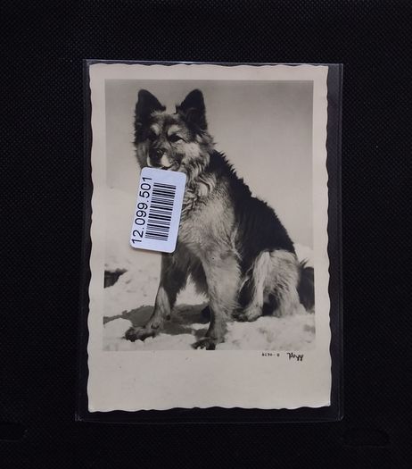WW2 : Breslau - Auschwitz Concentration Camp - 1940 Postcard