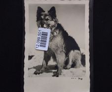 WW2 : Breslau - Auschwitz Concentration Camp - 1940 Postcard