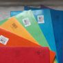 Exacompta Europa Pocket Wallet A4/Follscap File Folders/Envelopes Home Office School College Image 2