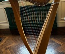 34 String Harp