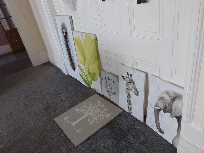 canvases, and pictures. And picture frames.
