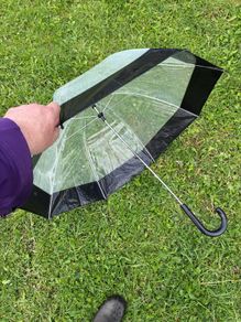 Ladies umbrella