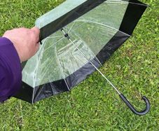 Ladies umbrella