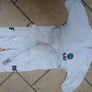 Taekwondo Set Dobok, Helmet & Protective Gear Image 3