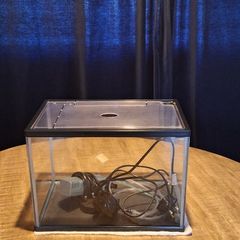 Fish Tank with filter for sale until 28th April