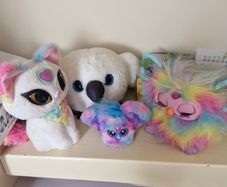 Live toy Collection Furby