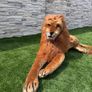 120cm Giant Plush Lion Soft Toy Image 2