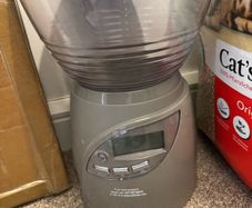Cat Auto Feeder