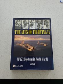 The Aces Of Fighting 17