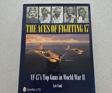 The Aces Of Fighting 17