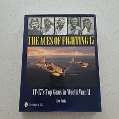 The Aces Of Fighting 17
