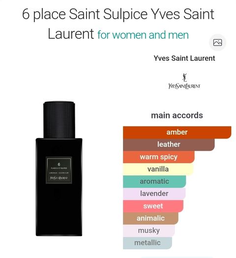 Yves Saint Laurent 6