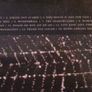 Ryan Adams - Love Is Hell CD Image 2