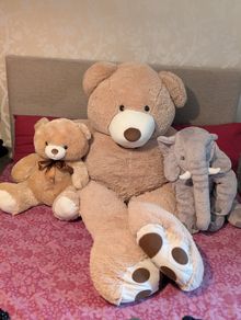 Bundle of Soft toys Quick sale
