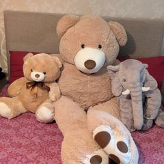 Bundle of Soft toys Quick sale
