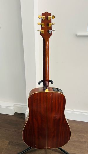 Takamine G Series