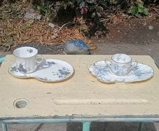 Bone China