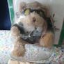 collectable teddy bear Image 2