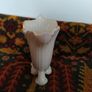 Belleek-1993- 1997 / 8th Mark, Cornucopia spill Image 3