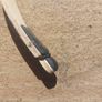 bow Image 2