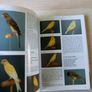 Cage & Aviary Birds Book Image 3