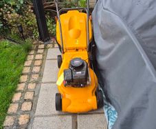 Petrol push lawnmower