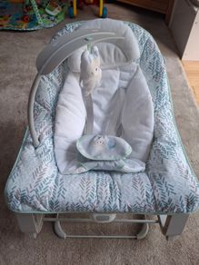 Baby Bouncer - Great Condition