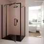 Shower Doors Image 4
