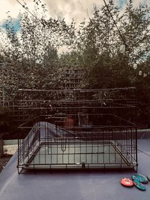 Dog Cage for sale in Kildare.