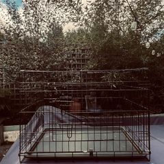 Dog Cage for sale in Kildare.