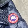 canada goose Image 3