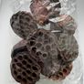cholla wood & lotus pods for shrimps/aquarium Image 5