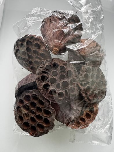 cholla wood & lotus pods for shrimps/aquarium
