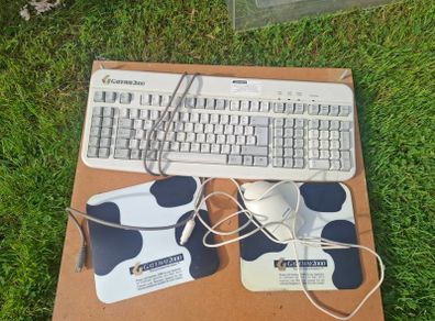 Gateway 2000 keyboard and Microsoft ps2