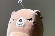Squishmallow Maisha Beaver 3.5"