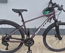 Giant roam 2