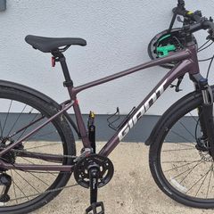 Giant roam 2