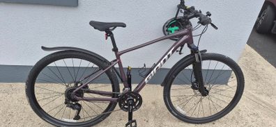 Giant roam 2