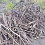 Free firewood Image 2