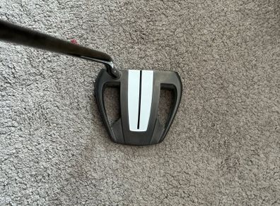 Taylor made spider putter